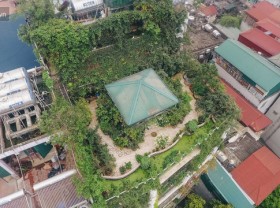 Image: Flycam “forest” on the terrace of the woman in Hanoi: 200m2 wide, 1,500 lilies covered