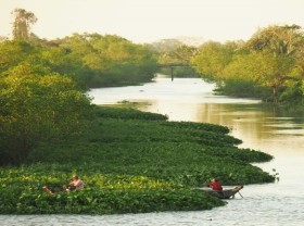 Image: Fruit islands in Mekong Delta to explore