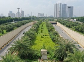 Image: Hanoi to be proud of itself over tree planting success