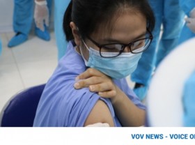 Image: COVID-19: Two Indian experts, four Vietnamese returnees detected