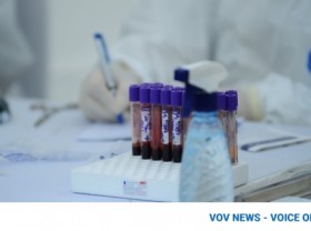 Image: COVID-19: Vietnam confirms 10 imported cases, including Indian citizen