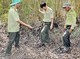 Image: Mekong Delta provinces face high risk of forest fire in peak dry season