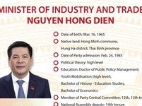 Image: Minister of Industry and Trade Nguyen Hong Dien