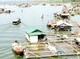 Image: Tri An Lake faces pollution challenge