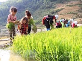 Image: Song competition launched to raise awareness over child labor