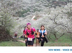Image: Vietnam Trail Marathon attracts 4,300 runners