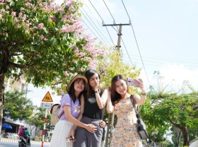 Image: The road more than 2 km in brilliant purple flowers with mausoleum: Young people check-in
