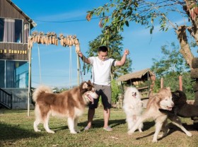 Image: 9X boy left the street to his hometown to become a billionaire by raising dogs