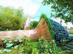 Image: Admire the 14m ‘huge’ diameter hydrangea bouquet in the West
