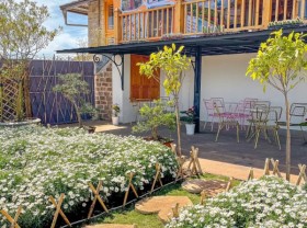 Image: An emerging virtual living hill in Da Lat