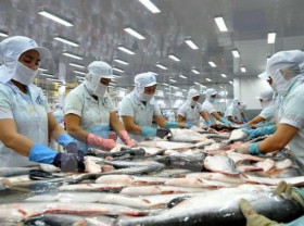 Image: Vietnam s Pangasius exports increase by 0 6 in first quarter of 2021