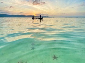 Image: Go to Phu Quoc to check-in ‘starfish kingdom’