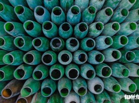 Image: Hanoi man farms betta fish in discarded bottles