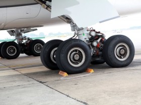 Image: Birds prove a constant obstacle for pilots in Vietnam