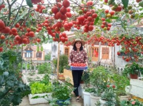 Image: Overwhelmed with the garden of agricultural products, the garden is full of fruit and flowers, blooming with flowers