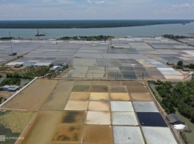 Image: Salt harvest season in Thanh An island commune