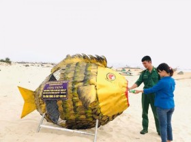 Image: The carp “eats rubbish” at Hai An beach