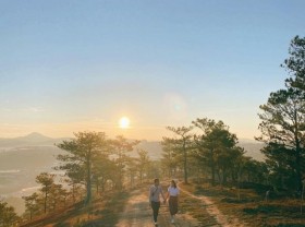 Image: Travel Da Lat in April checked in the blooming flower gardens