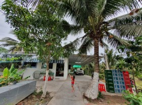 Image: Where to go to celebrate April 30: Go to the West to eat ‘ghost’ noodles, pick fruit and rest tired