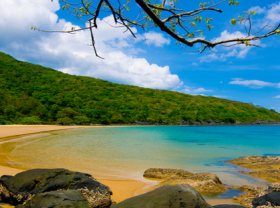Image: Dam Trau on Con Dao Islands among world s 25 most beautiful beaches