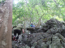 Image: Hidden stream found in Quang Tri Cave