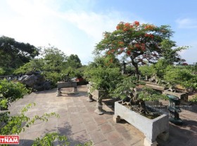 Image: Hong Van bonsai village on Hanoi’s outskirts