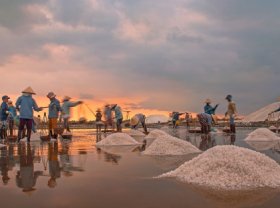 Image: Stunning Hon Khoi salt field in Vietnam s most beautiful beach