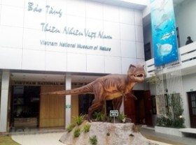 Image: VN National Museum of Nature - ideal destination for nature lovers and researchers