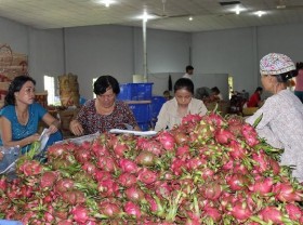 Image: Veggie, fruit exports fetch some US$1 billion in Jan-March