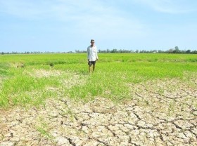 Image: Vietnam plans to borrow US$2 billion to develop Mekong Delta region