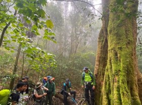 Image: Việt Nam ‘reinvents’ tourism sector, aims for expected recovery by 2024