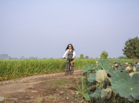 Image: Weekend walking around Dong Nai green rice season