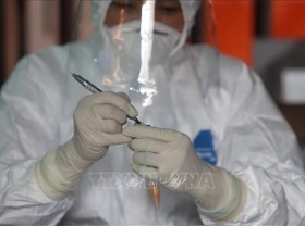 Image: 40 more domestic, five imported Covid-19 cases reported