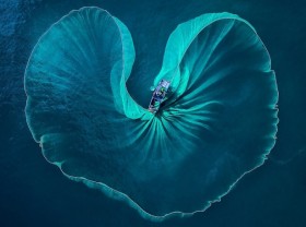 Image: All About Photo Awards honours Vietnamese photographer