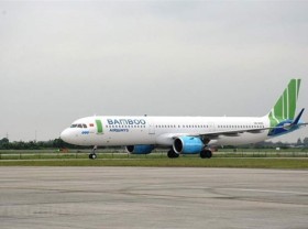 Image: Birds cause cancellation of flights on Con Dao