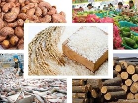 Image: Agro-forestry-fisheries exports up over 24% in Jan-Apr