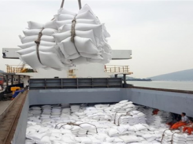 Image: Bright prospects for Vietnam s rice exports in coming months
