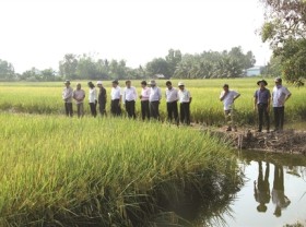 Image: 'Nature - based' farming a winner in Mekong Delta