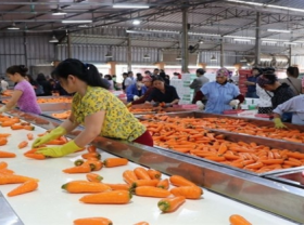 Image: Poland market offers ample room for Vietnamese farm produce and food