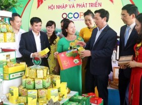 Image: Promoting initiative and creativity in implementing OCOP programme