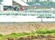 Image: Spontaneous white-leg shrimp farming in freshwater areas poses risks