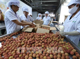 Image: Vietnam s export turnover grows over 30 in five months