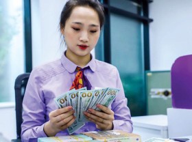 Image: Vietnam seeks avoidance as currency manipulator in future