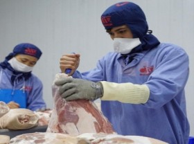Image: Vietnamese enterprises advised to export pigs to Cambodia