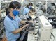 Image: Vietnamese enterprises compete from position of weakness