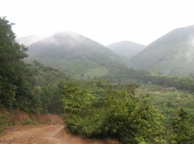 Image: Discovering the natural beauty of Rêu Stream