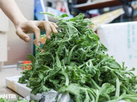 Image: Extremely expensive “diamond vegetables” are still “sold out” in Hanoi