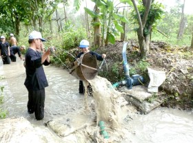 Image: HCM City's rural districts expand agrotourism activities  