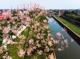 Image: Imperial city tinted with pink