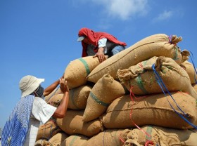 Image: It needs objective remarks for rice export decline